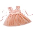 thumbnail image 1 of Baby Girls Princess Lace Tulle Flower Fancy Gown Formal Party Dress, 1 of 4