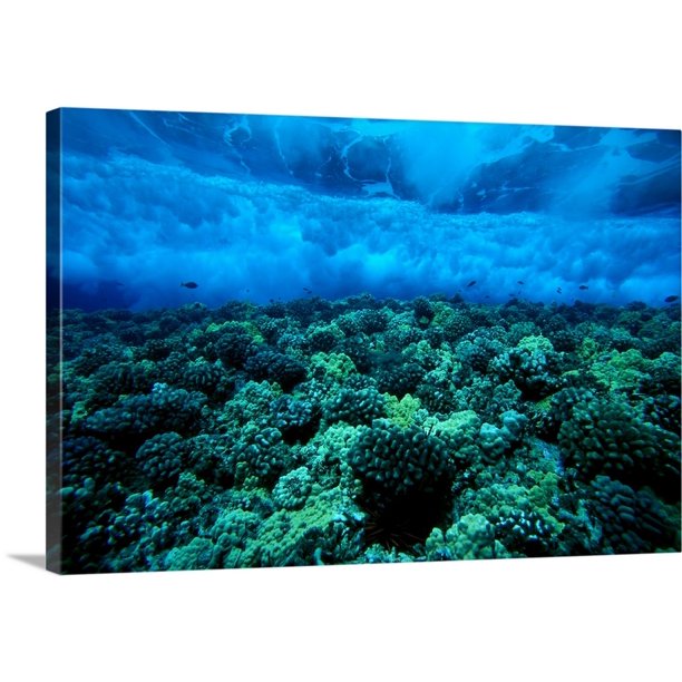 Great BIG Canvas "Hawaii, Maui, Molokini Island, Underwater View Of