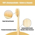 thumbnail image 2 of Biodegradable Bamboo Toothbrush Set, Soft Bristles, Eco-Friendly Oral Care Solution, 10-Pack Compostable Wooden Brushes, 2 of 5