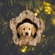 thumbnail image 1 of Cuadro Colgante de Acrílico con Estampado de Animales Navideños | Regalo Ideal para Familiares y Compañeros de Trabajo | Impresión a Doble Cara | Decoración Navideña Perfecta | 8 X 8 Cm, 1 of 7