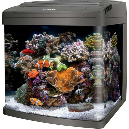 UPC: 0096316156616 | BIOCUBE LED AQUARIUM 16GAL 1