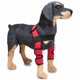thumbnail image 1 of Suministros para mascotas Rodilleras para perros Almohadillas para piernas para perros Protector para mascotas Cirugía para perros Cubierta para heridas (Rojo S) Rojo Verde, 1 of 5