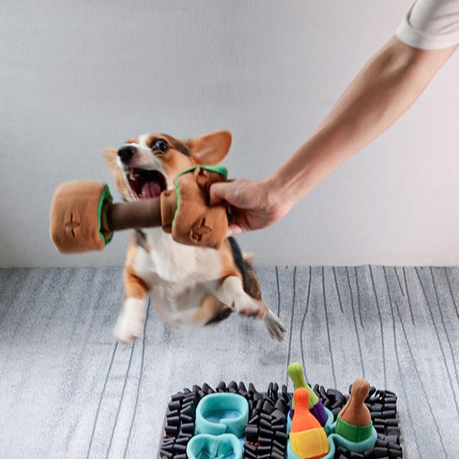 Snuffle Mat for Dogs Sniffing Pad Interactive Puppy Puzzle Toy Slow Feeder Nosework Treats Feeding Mats for Anxiety