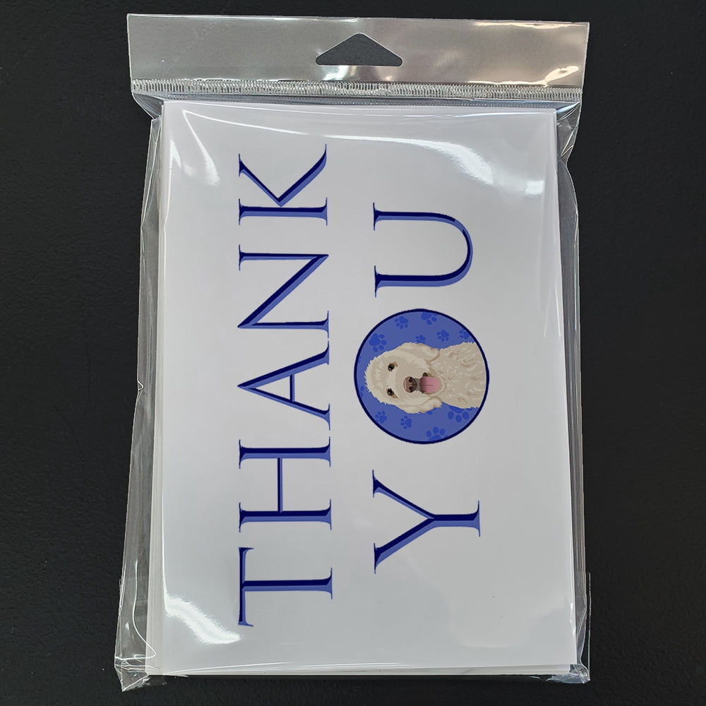 Doodle Cream #5 Thank You Greeting Cards and Envelopes Pack of 8 7 in x 5 in