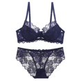 thumbnail image 1 of Conjunto de sujetador de una pieza de encaje sexy para mujer, cómodo, fino y de talla grande, 1 of 6