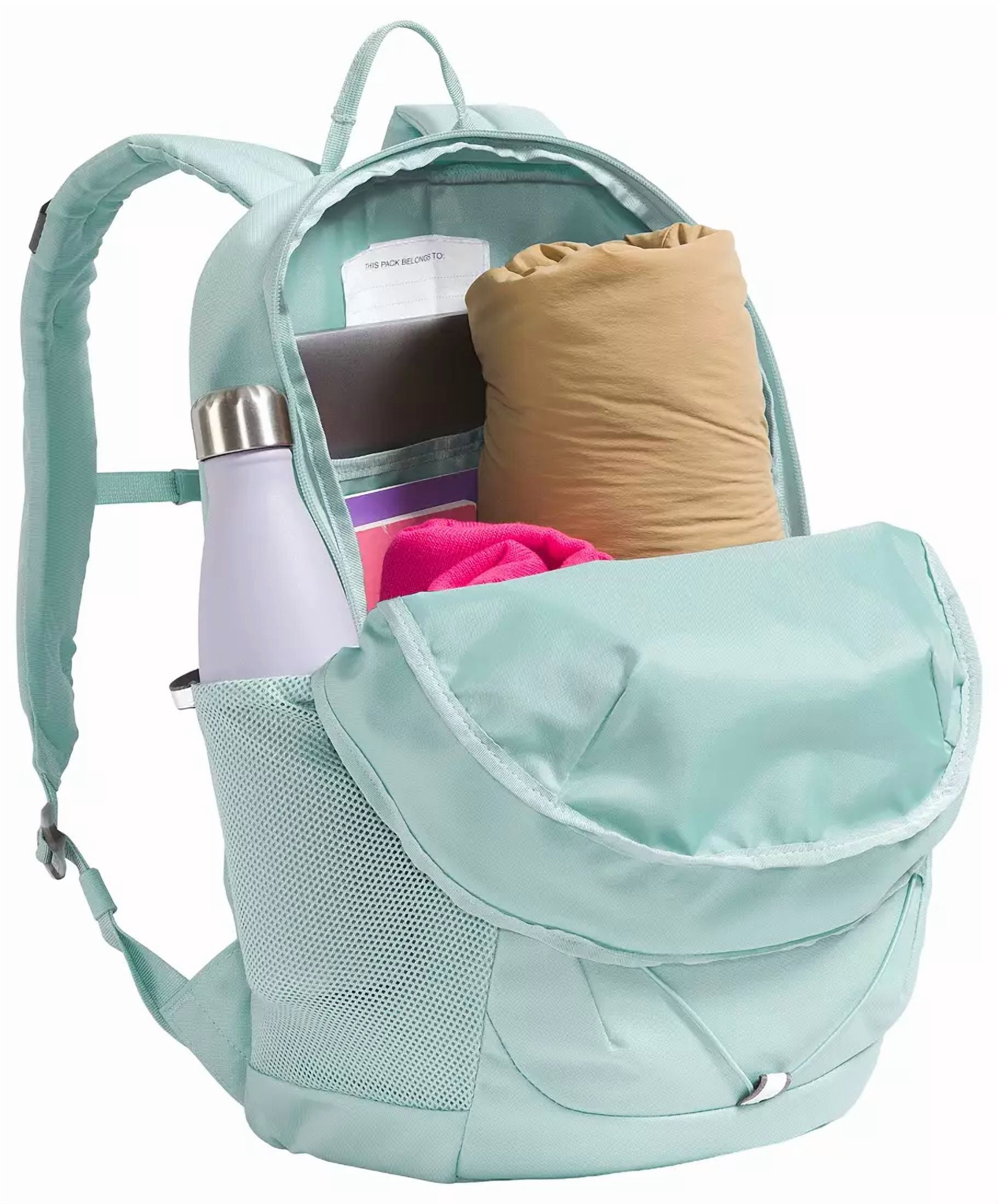 THE NORTH FACE Youth Court Jester Backpack (Muted Pine / Mauve, 25 L)