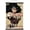 Premium Print and Black Hanger Bundle, variant on DC Comics - Wonder Woman - Hyper Wall Poster with Push Pins, 14.725" x 22.375"