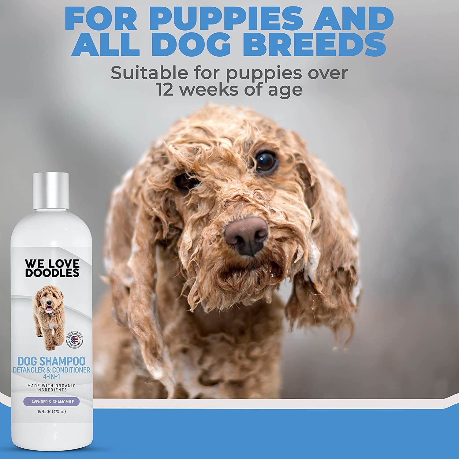 We Love Doodles, Dog Shampoo, Conditioner and Detangler, Best Shampoo for Goldendoodles and Doodles, Shampoo for Puppies, Grooming, Organic Ingredients, Lavender, Moisturizing, Best Smelling -