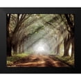 thumbnail image 2 of Jones, Mike 18x15 Black Modern Framed Museum Art Print Titled - Evergreen Plantation, 2 of 5