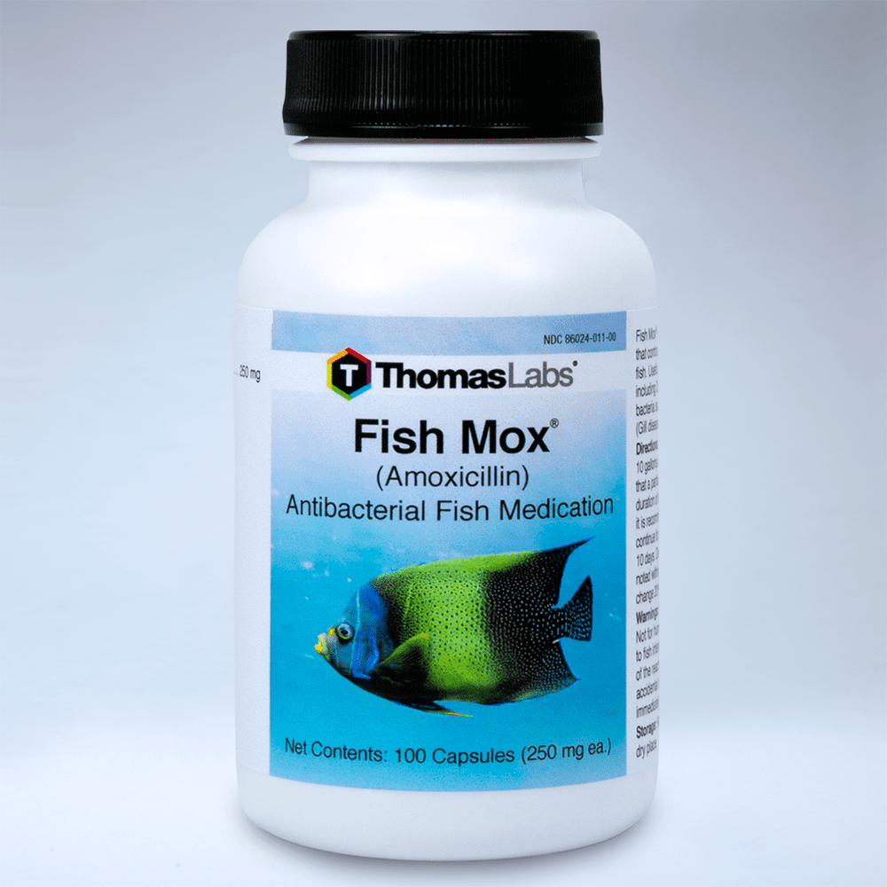 Thomas Labs Fish Mox (Amoxicillin) Antibacterial Fish