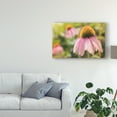 thumbnail image 3 of Trademark Fine Art 'Echinacea Study I' Canvas Art by Jason Johnson, 3 of 4