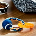 thumbnail image 2 of Vibrant Life Multicolor Chomp & Tug Buddy TPR & Rope Ring Interactive Dog Chew Toy, Small, 2 of 7