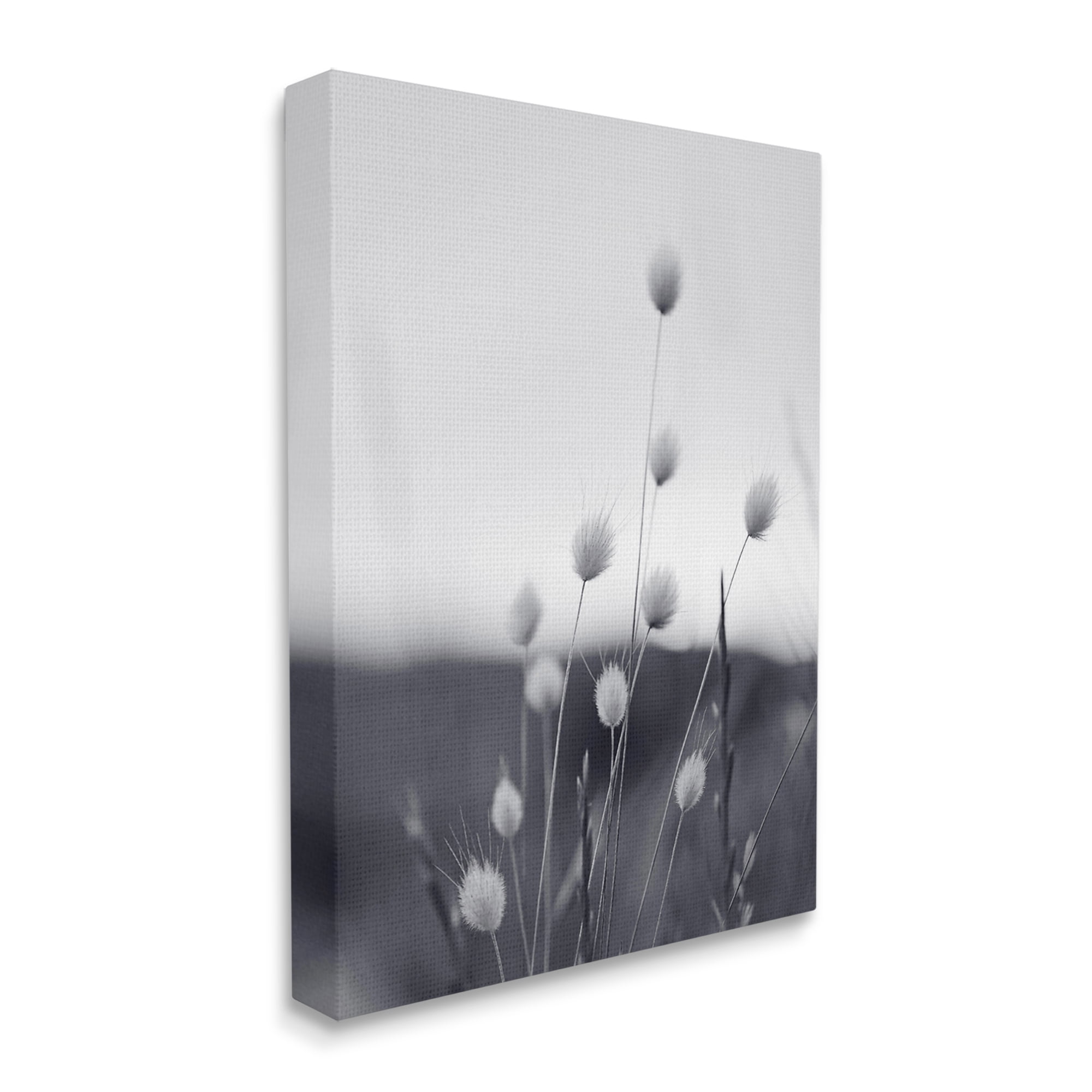 Stupell Industries Country Botanicals Photography Botanical & Floral Photography Gallery Wrapped Canvas Print Wall Art, 36 x 48