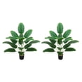 thumbnail image 3 of Monstrate Decoración portátil de árbol de plátano de simulación de bonsái artificial para interiores Type1 NO1, 3 of 6