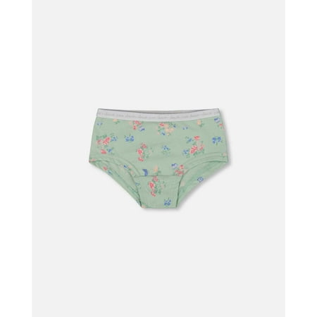 Printed Organic Cotton Boyshort Panty Small Pink And Blue Flowers On Light Sage