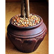 Mosser Lee ML1121 River Rock Soil Cover, 5 lb.