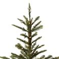thumbnail image 6 of Vickerman 7.5' Alberta Spruce Artificial Christmas Tree with Warm White Dura-lit LED Lights, 6 of 7