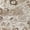 Beige, variant on Addison Rugs Chantille Indoor/Outdoor Traditional Global Beige Machine Washable Rectangle Rug, 10' x 14'
