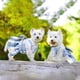 thumbnail image 5 of Arneses para perros pequeños, cachorros, gatos, conejos, ropa a cuadros, vestidos con lazo y correa para chihuahua., 5 of 7