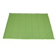 thumbnail image 1 of Abilitations 1543189 Fleece Weighted Blanket, Small - Green, 1 of 1