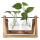 thumbnail image 1 of Terrario de Plantas Con Soporte de Madera, Terrario de Plantas Con Soporte de Madera Florero de Vidrio Jardinera de Vidrio de Escritorio para decoración de la, 1 of 7
