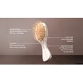 thumbnail image 2 of EcoTools Mini Travel Detangler Brush, 2 of 5