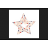Sienna Lighted Shimmering Star Christmas Decoration Red/White/Blue Plastic 17 in.
