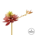 thumbnail image 3 of Vickerman 6" Artificial Black Prince Echeveria Pick, Set of 3, 3 of 3