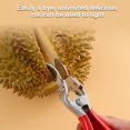 thumbnail image 2 of Lubelski Durian Opener Stainless Steel Rustproof Manual Fruit Peeling Tool Easy-to-Clean Fruit Pliers Kitchen Utensil, 2 of 7