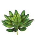 thumbnail image 1 of Vickerman FA170501 Succulent de Cactus Verts, 1 of 3