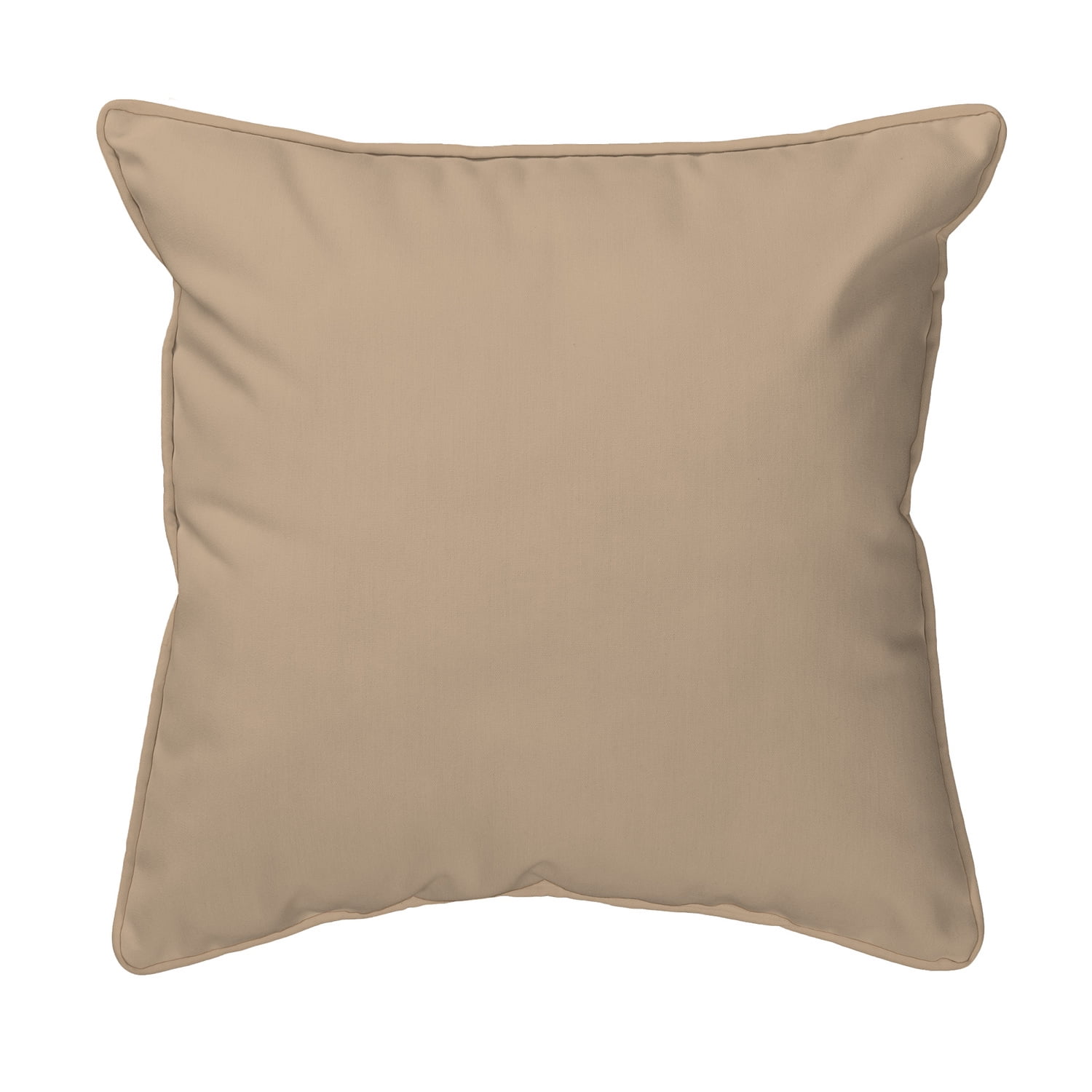 Betsy Drake HJ059 18 x 18 in. Baby Squirrel Large Pillow
