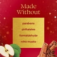 thumbnail image 3 of ( 2 Pack ) Glade® Automatic Spray Air Freshener Refill, Warm Apple & Spices, 6.2oz., 2 Count, 3 of 5
