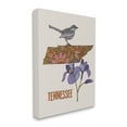thumbnail image 3 of Stupell Industries Intricate Tennessee State Iris Floral Pattern Bird Graphic Art Gallery Wrapped Canvas Print Wall Art, Design by Valentina Harper, 3 of 7