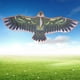 thumbnail image 4 of Cometa Eagle Con Diseño Realista, Liviana para un Un Vuelo Fácil, Promueve El Vínculo Entre E Hijos, 4 of 7