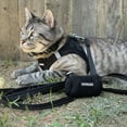 thumbnail image 4 of Voyager Step-in Air Cat Harness - All Weather Mesh Step in Vest Harness for Small and Medium Cats - Harness Leash Set (Black), XXS, 4 of 9