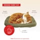 thumbnail image 2 of Juguete interactivo de peluche Perfect Petzzz Orange Tabby Cat, 2 of 7