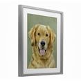 thumbnail image 2 of Stupell Industries Farmhouse Smiling Golden Retriever Portrait Gray Framed Print Under Glass, 17 x 21, by Lil' Rue, 2 of 8