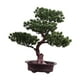 thumbnail image 5 of Árbol de simulación, planta en maceta, planta verde artificial, escritorio decorativo multiusos Estilo C, 5 of 9