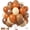 Burnt Orange Apricot, variant on Dusty Pink White Balloons, 50Pcs 12 Inches Pink Sand White Metallic Gold Birthday Balloons for Girls Birthday Party Wedding Anniversary Bridal Engagement Baby Shower Decorations