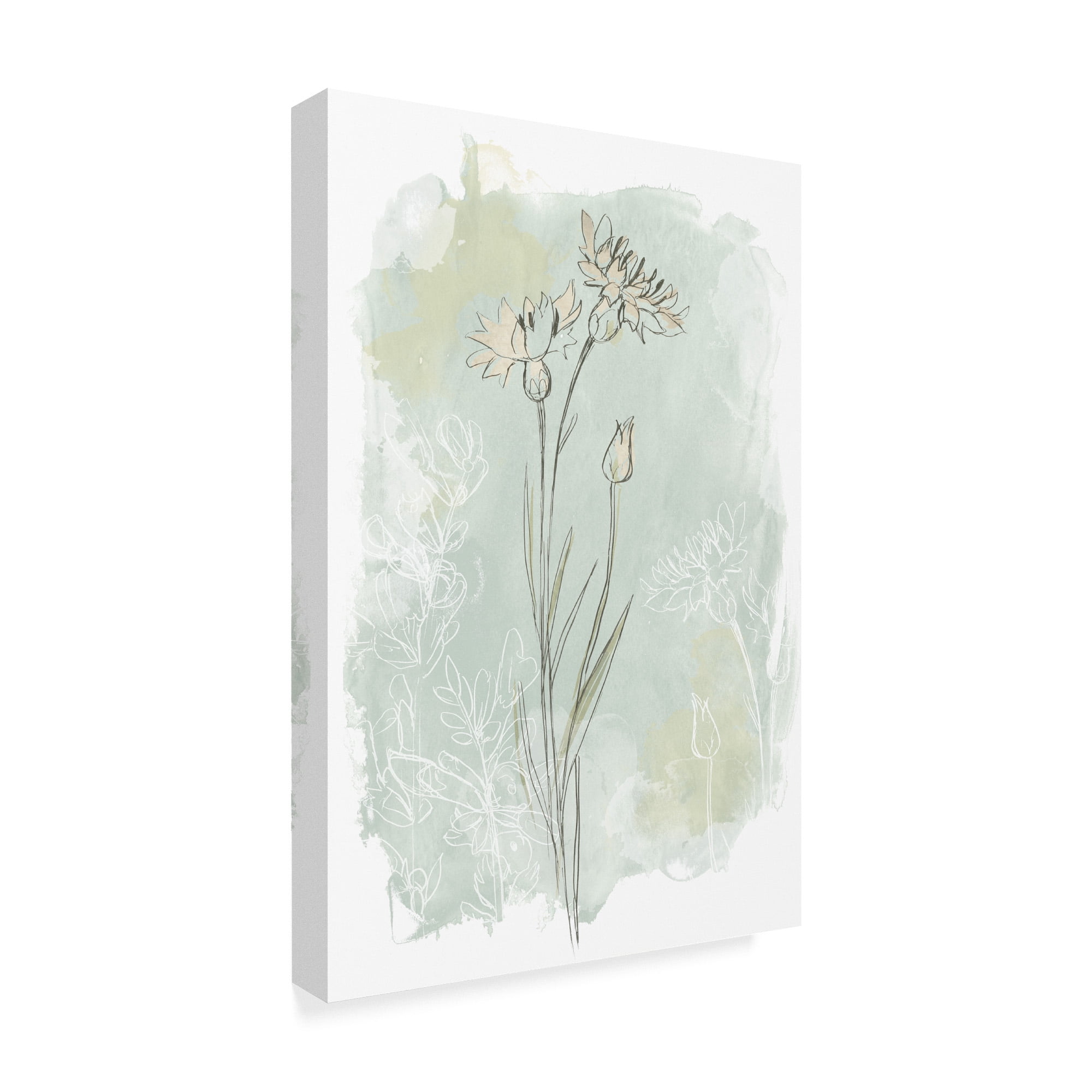 Trademark Fine Art 'Stone Flower Study I' Canvas Art by June Erica Vess