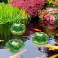 thumbnail image 2 of ANGGREK Simulation Artificial Floating Water Leaf Amimal Pond Fish Tank Decoration,Ornament Craft,Fish Tank Ornament, 2 of 8