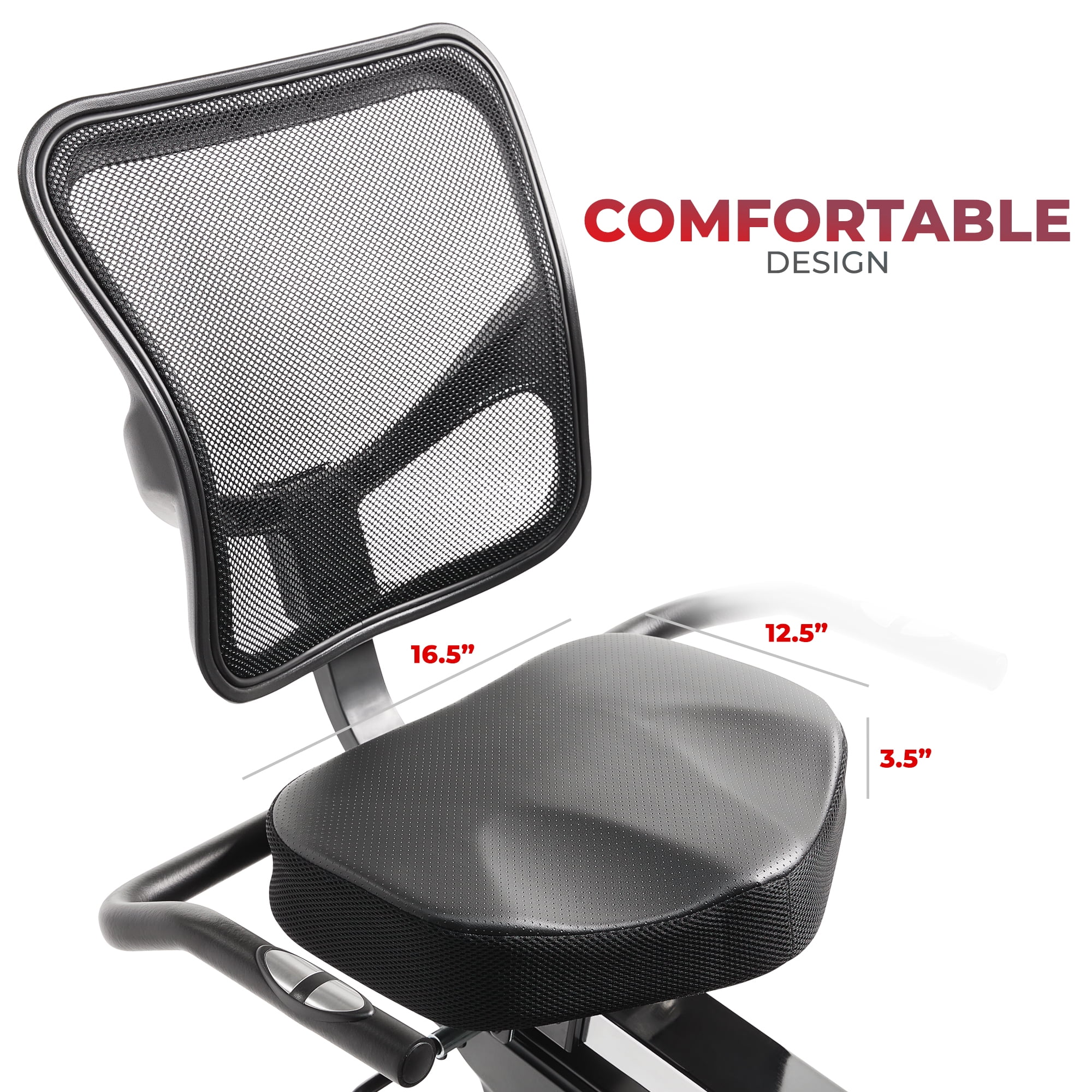 Sunny Health & Fitness Premium Magnetic Indoor Recumbent Exercise Bike with FREE SunnyFit® App