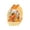 B, variant on 50Pcs Thanksgiving Fall Treat Candy Bags,Reusable Clear Zipper Pouches For Autumn Harvest Party Favors