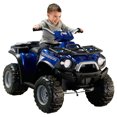thumbnail image 3 of Fisher-Price Power Wheels Kawasaki Brute Force, 3 of 7
