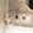 White, variant on Acrylic Wall Corner Shelf With Drainage Holes,No-Drill Adhesive Storage Rack For Bathroom And Kitchen Organization,Ventilated Hanging Holder For Toiletries Spices And Small Kitchen Essentials