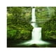 thumbnail image 3 of Póster de PVC para decoración de acuario, papel tapiz, imagen de cascada, pintura 3D S, 3 of 9