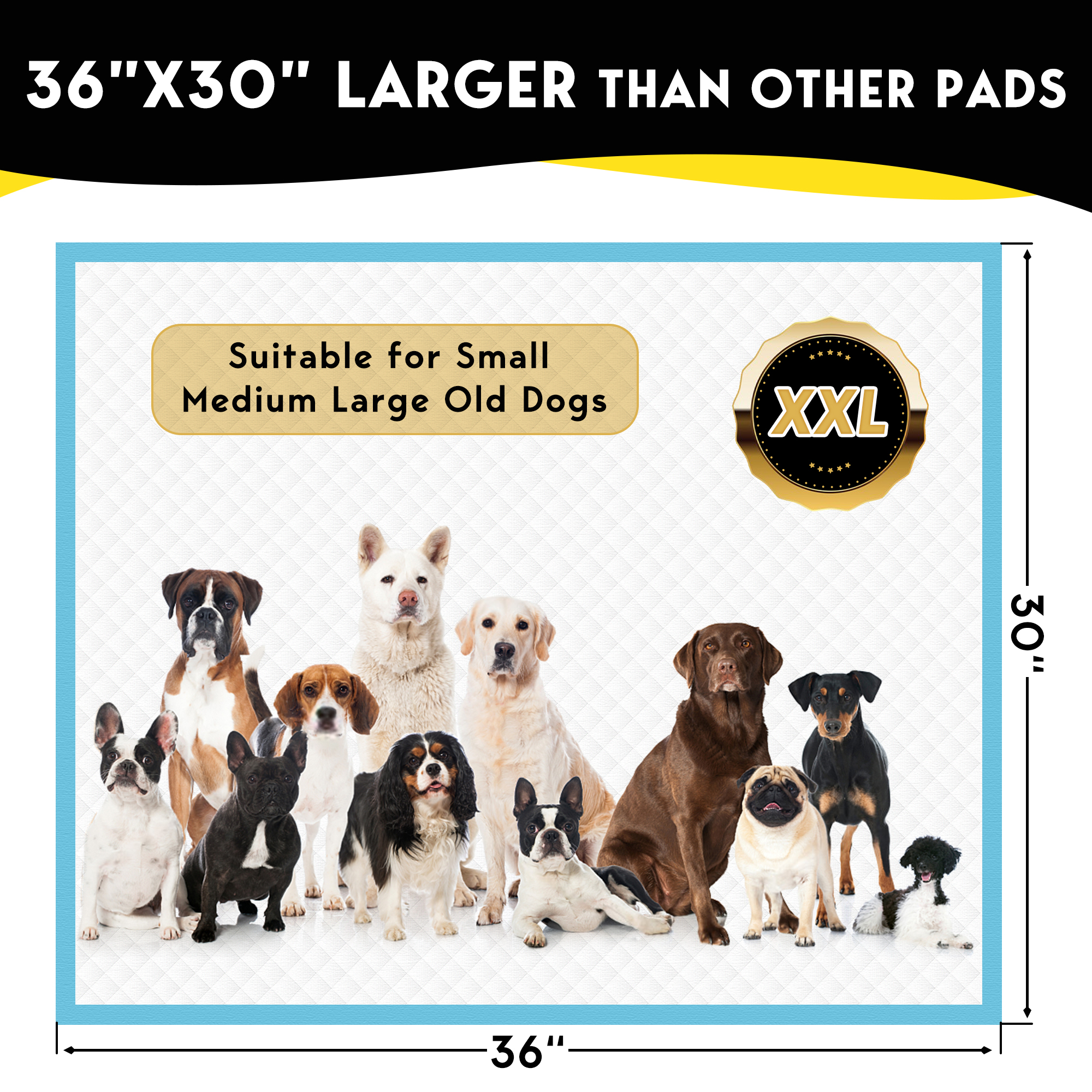 Tolobeve Dog Training Pads, XXL, 30" x 36", 60ct photo 4