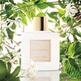 thumbnail image 5 of COCORRÍNA  Jasmine&Mint Reed Diffuser Set, 5 of 6