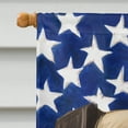 thumbnail image 3 of Carolines Treasures CK6609CHF Magyar agar American Canvas House Size Outdoor-Flags, Multicolor, 3 of 4