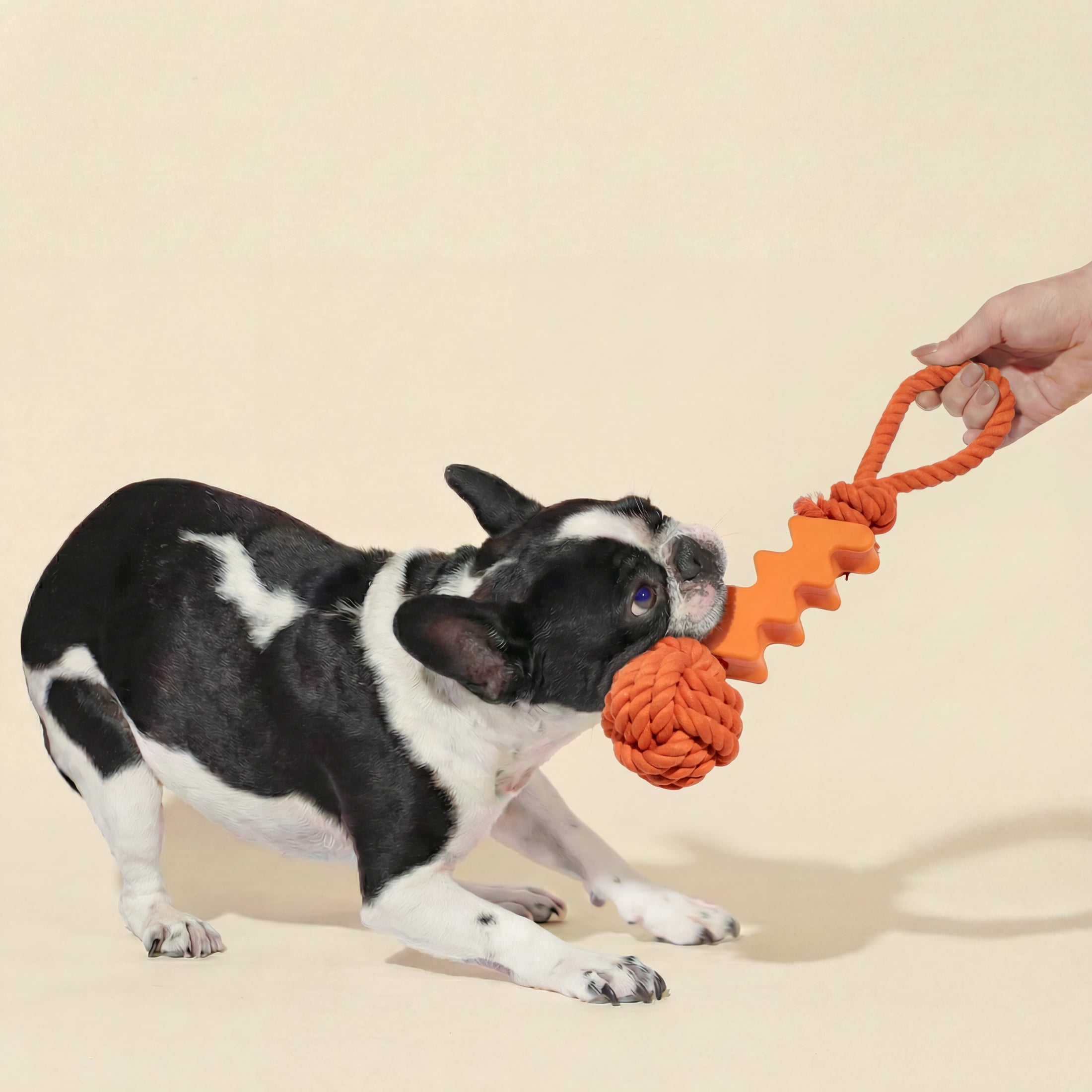 Oodles Durable Squiggle Grip Rope Dog Toy Set, Pink and Orange, One Size